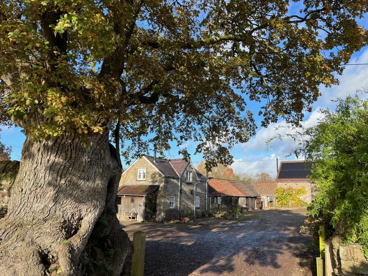 The Bothy At Oak Farm Lejlighed Usk Eksteriør billede